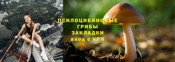 PSILOCYBIN Володарск