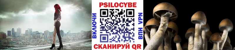 Псилоцибиновые грибы мицелий блэк спрут как войти Чудово